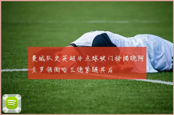 曼城队史英超非点球破门榜揭晓阿圭罗领衔哈兰德紧随其后